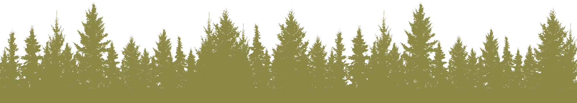 a flock of birds sitting on top of a sunset