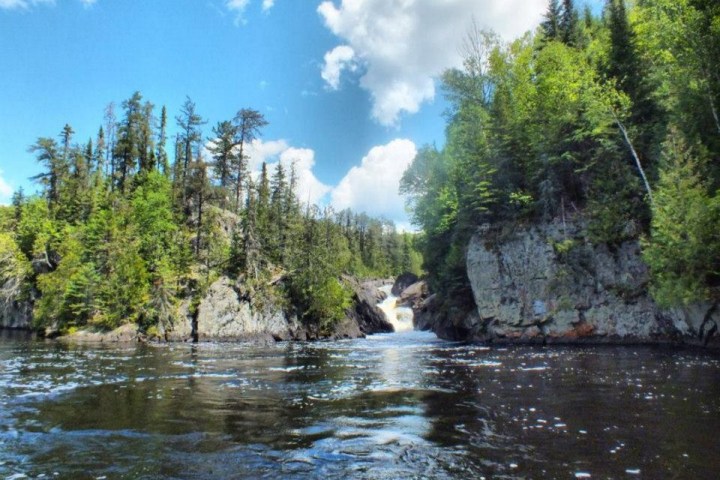 a river running through a forest