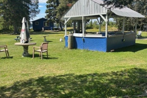 Outdoor gazebo with furniture on grassy area surrounded by trees.