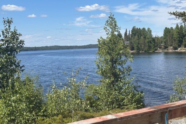 Lake view with trees and clear sky from a wooden deck.