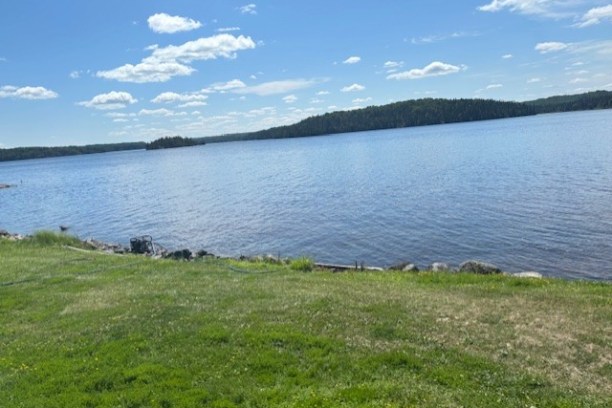 Calm lake with grassy shore and distant tree line under a blue sky.